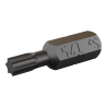 Końcówka bit 1/4&#34; Torx