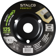 Tapered Rasp ∅125mm STALCO...