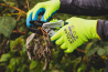 Safety Gloves