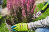 Safety Gloves