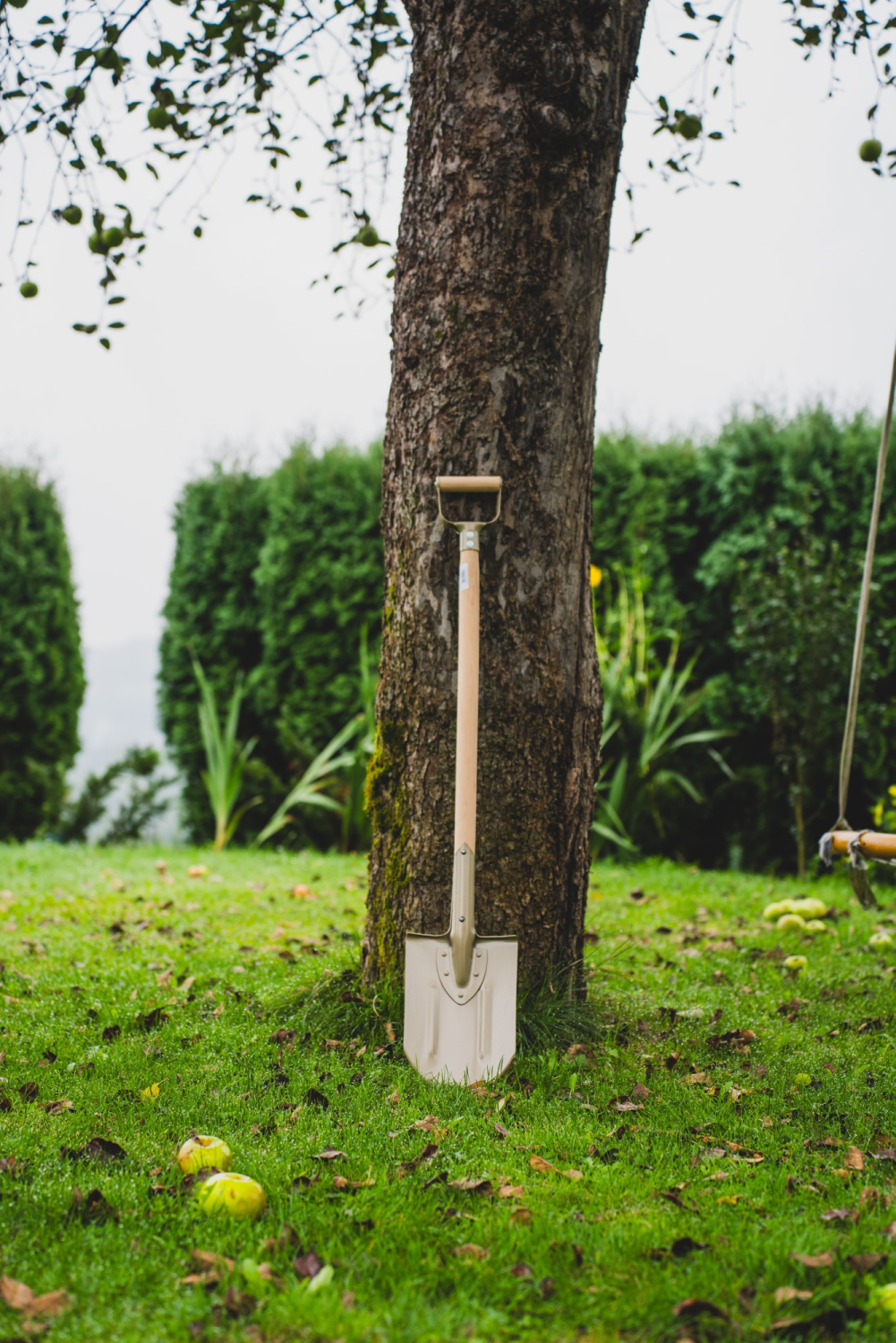  TRADITIONAL sharp spade