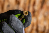 Hardened Screws For Wood And Chipboard